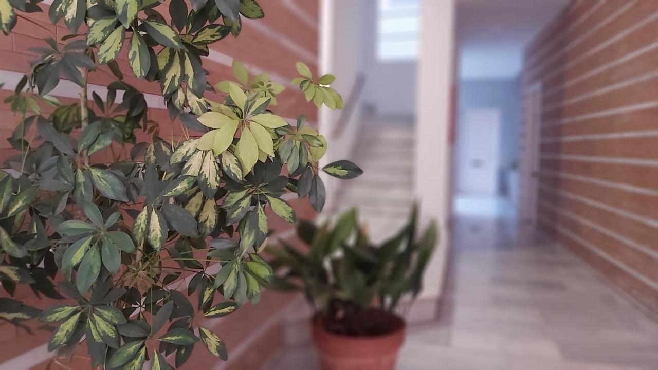شقة Del Parque Flats Catedral Exclusive مالقة المظهر الخارجي الصورة